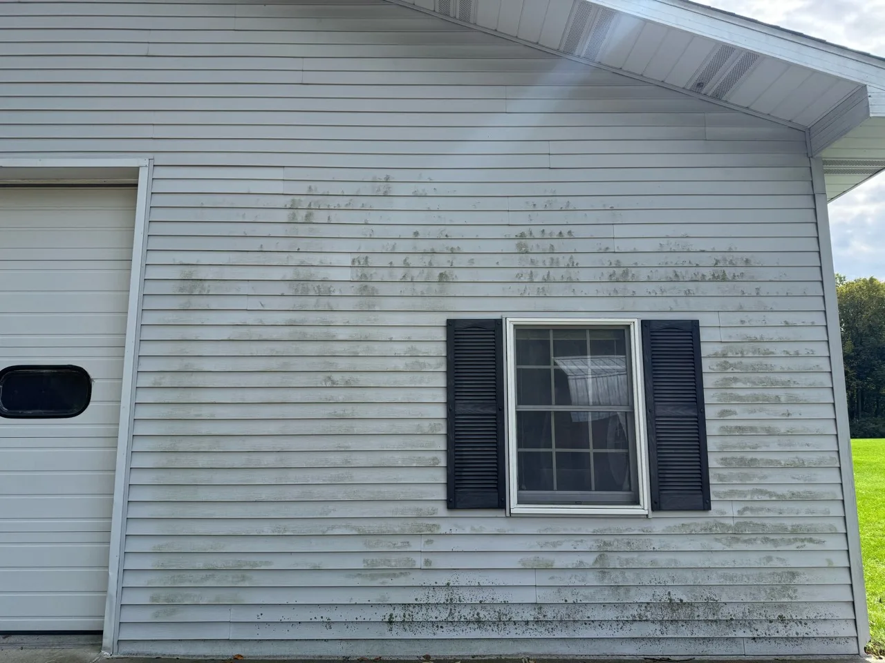 Gabled vinyl siding with dark and green surface buildup around a window