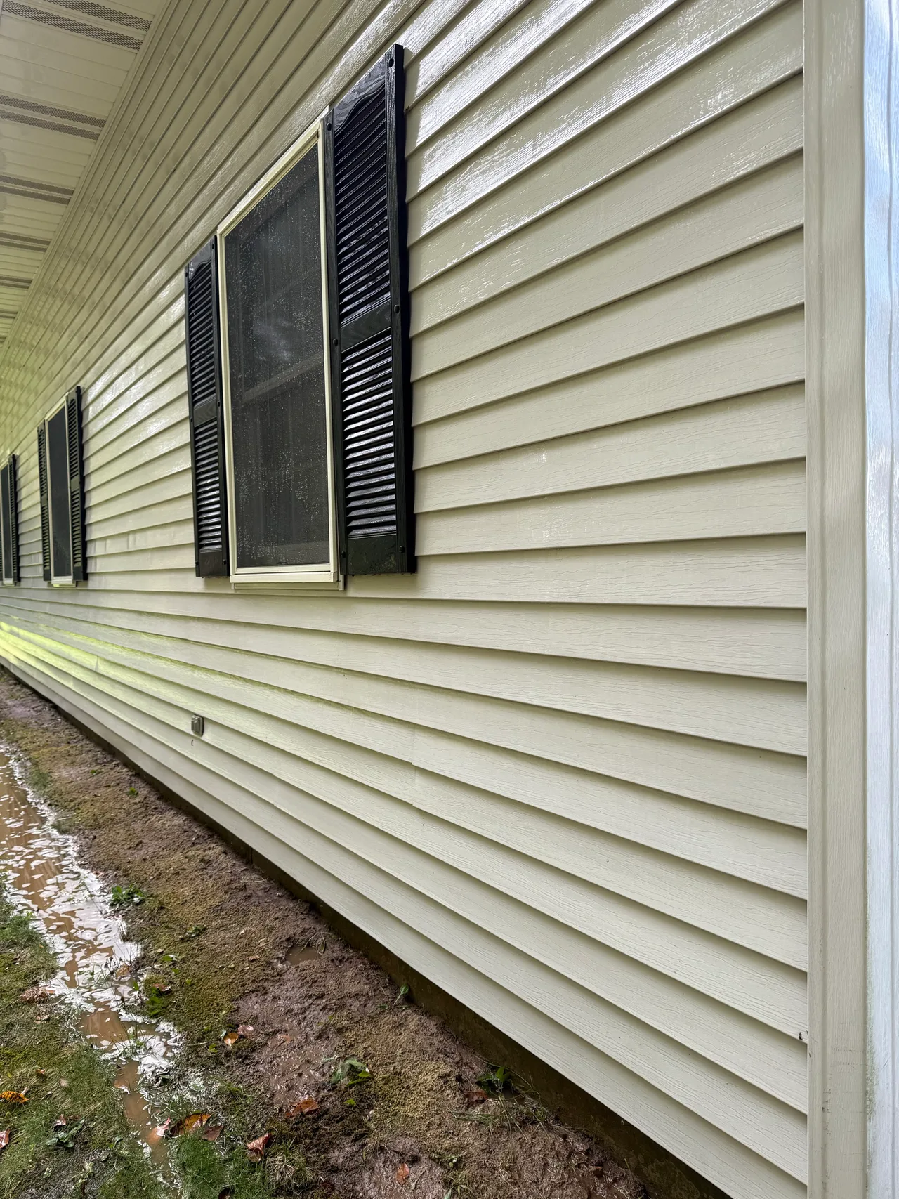 Matching siding and dark shutters after the visible green buildup has been removed