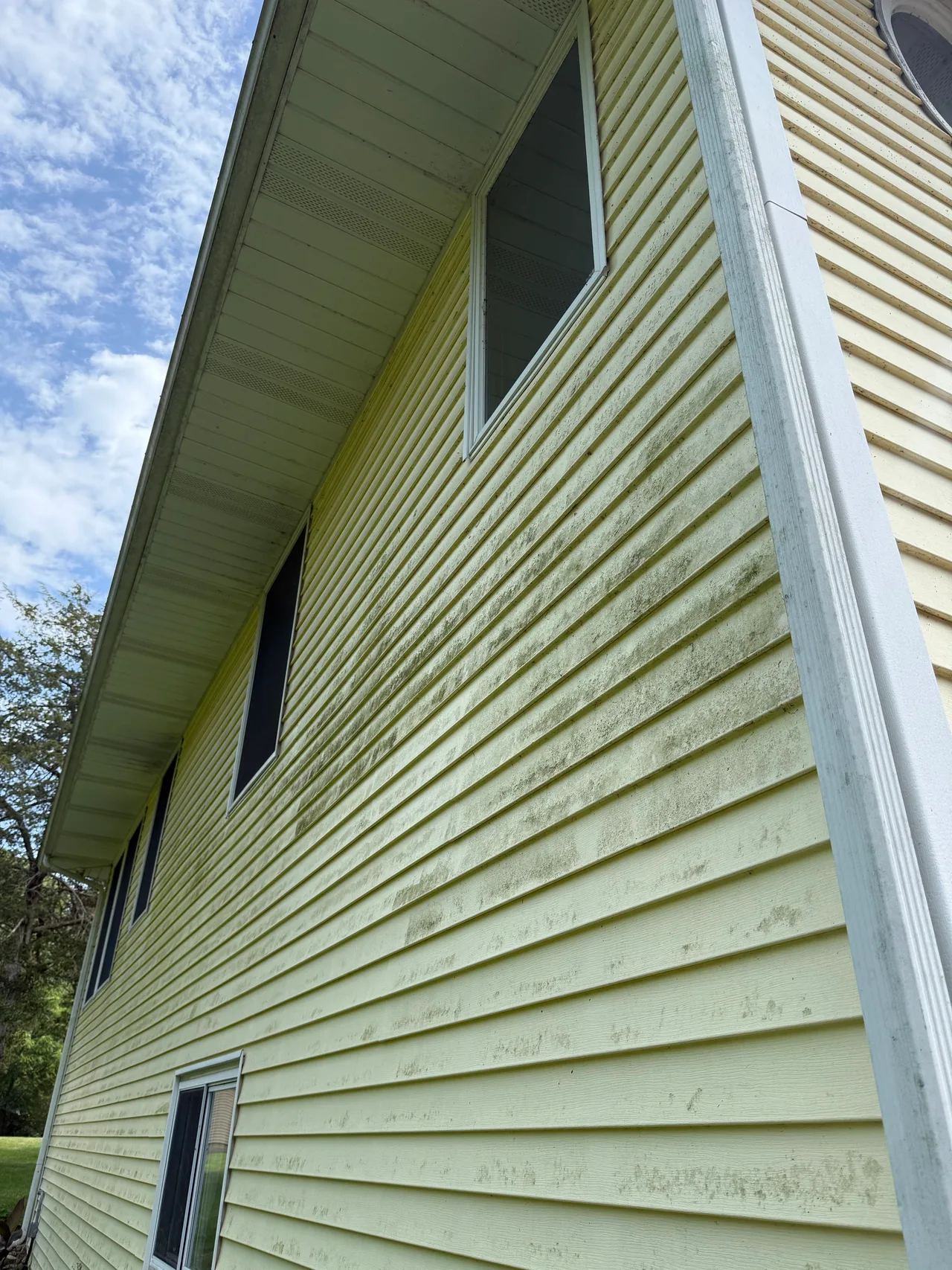 Upper vinyl siding with green buildup around windows and beneath the eaves