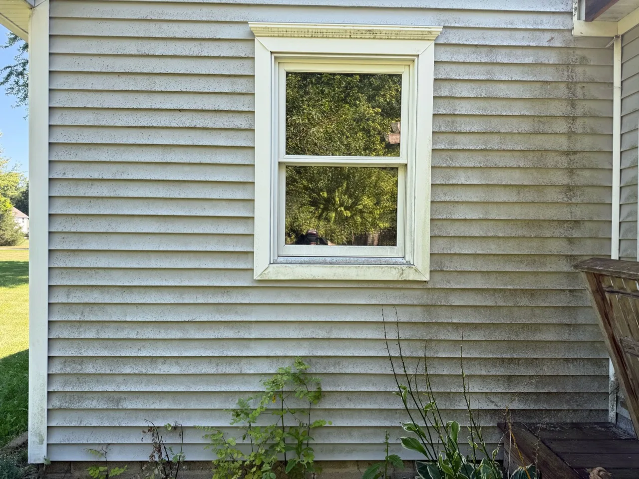 Light vinyl siding and window trim with visible dark surface buildup